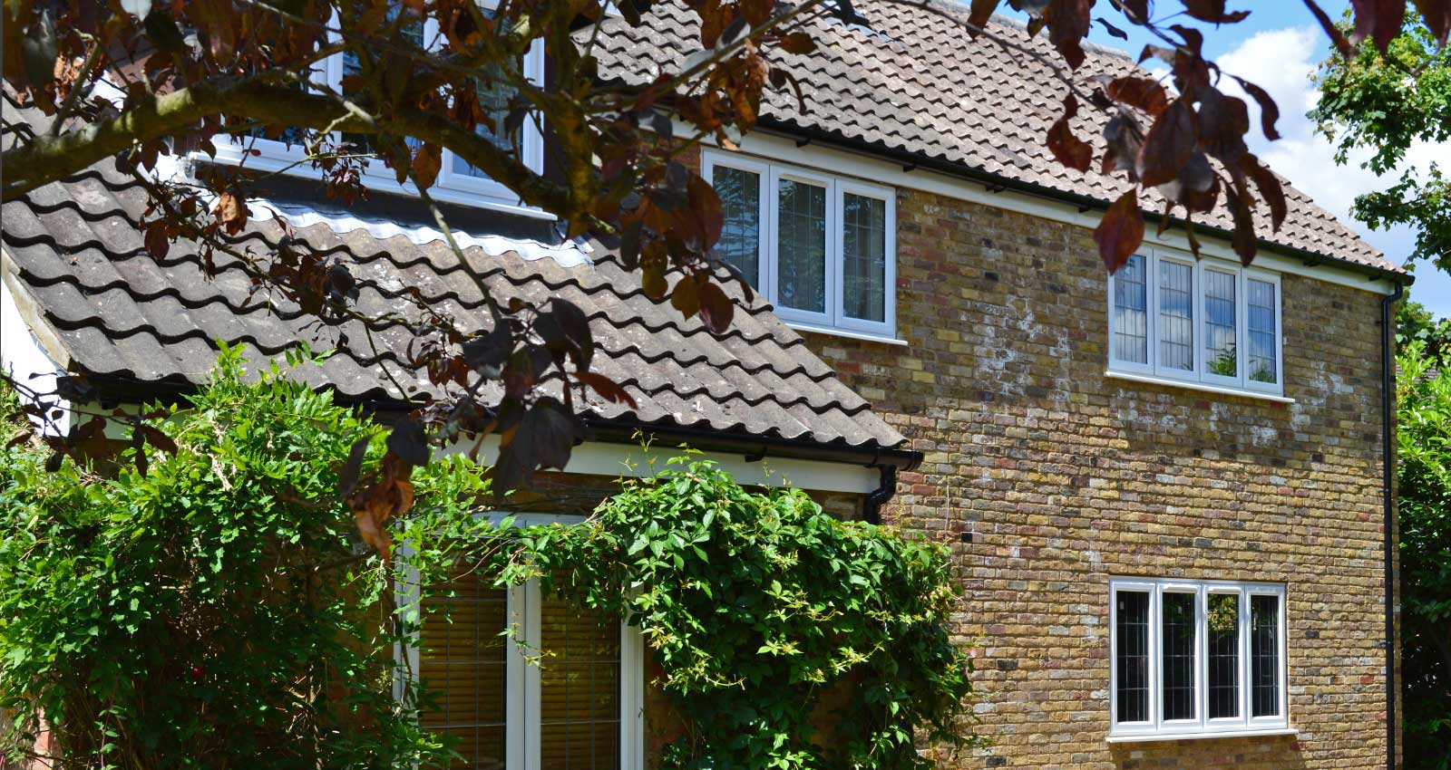 Alpha Windows Casement Windows 4