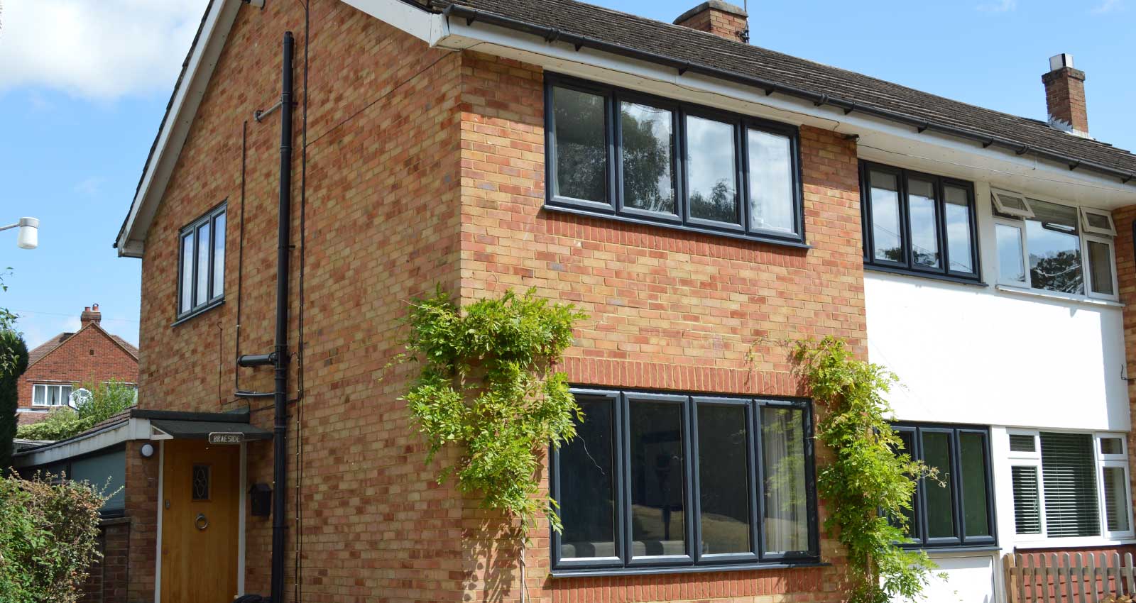 Alpha Windows Coloured Windows 11