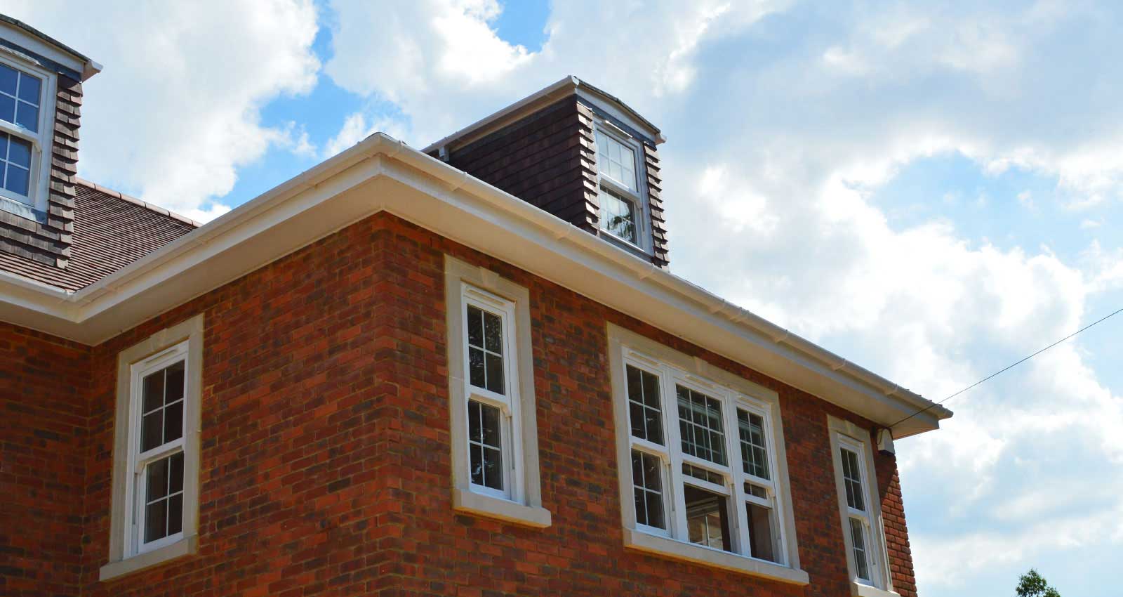 Alpha Windows Sash Windows 6